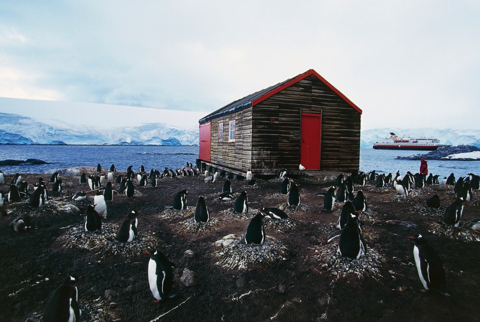 The candidates will work in the post office surrounded by hundreds of penguins