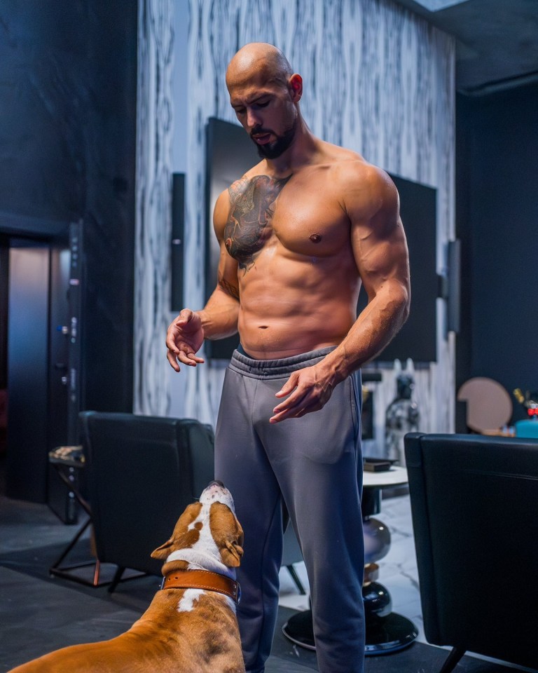 Andrew Tate, 36, often shows off his ripped body on social media