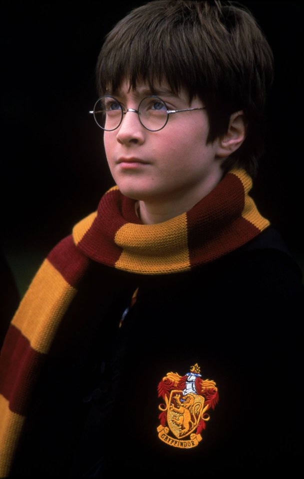 Harry Potter is the Tottenham star's 'hero'