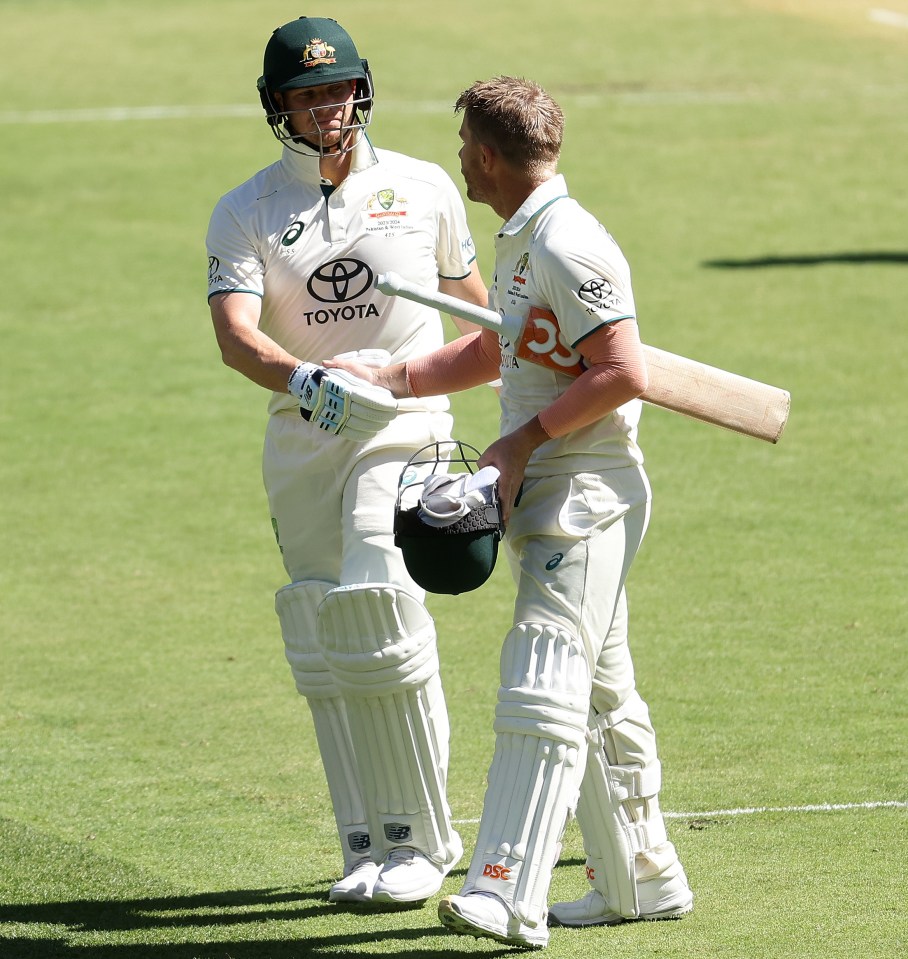 Steve Smith, left, and David Warner, right, were baffled when play was delayed