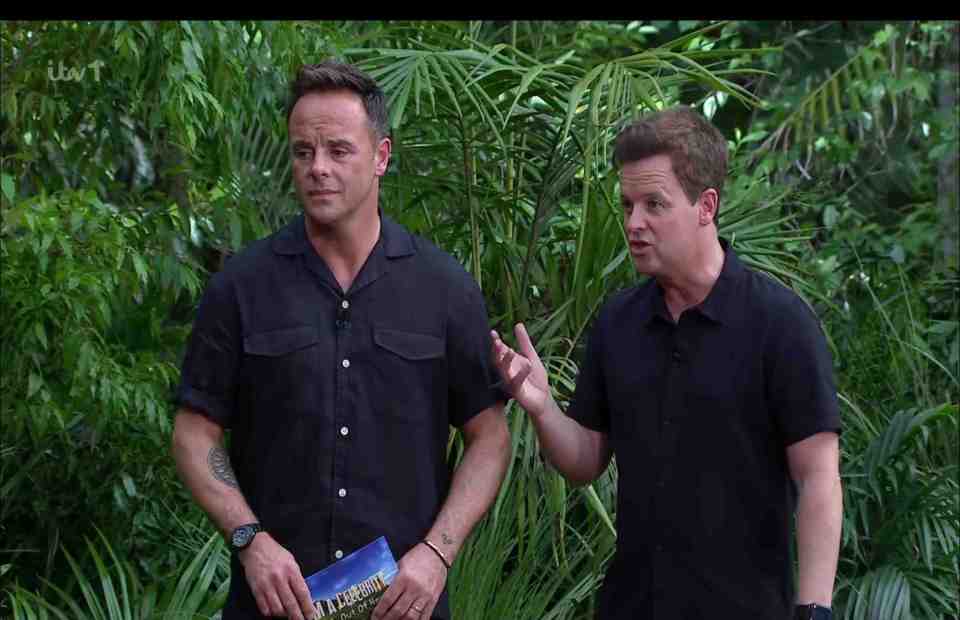 Ant and Dec ran through the rules of the trial