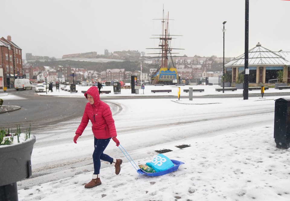 A shopper uses a sled to carry groceries in Whitby