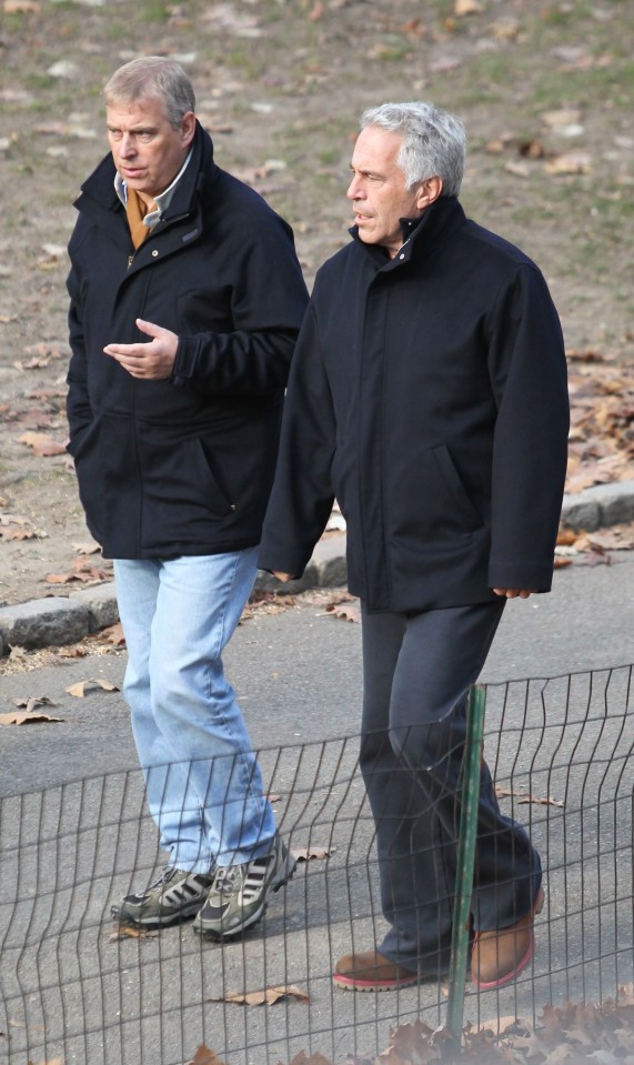 The new files reveal an alleged plot to blackmail Prince Andrew over his alleged sexual encounter with Virginia Giuffre