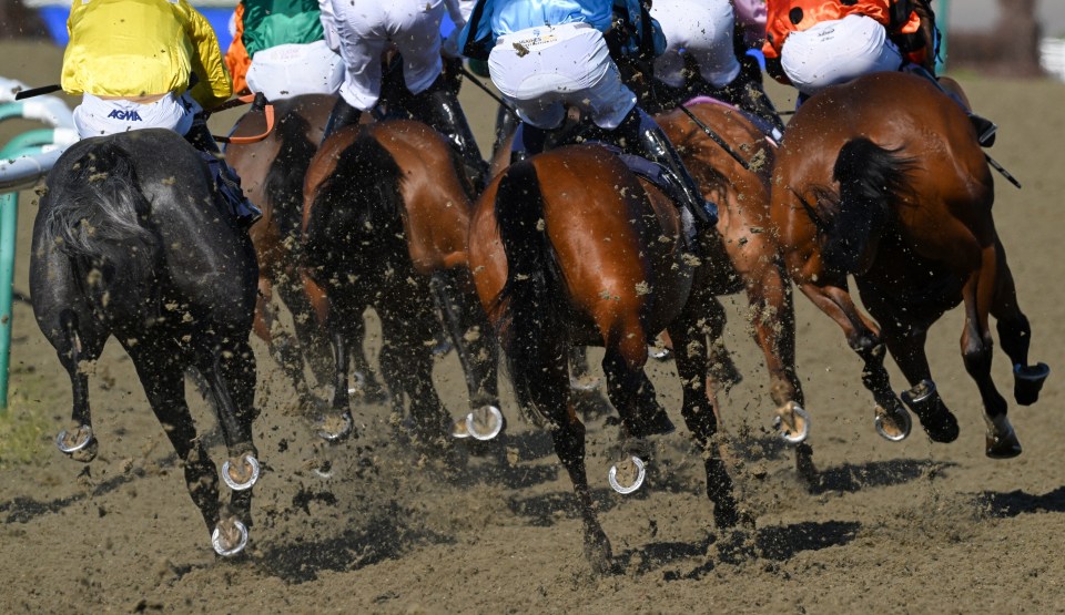 LINGFIELD, ENGLAND - APRIL 03: Runners and riders enter the final straight in the talkSPORT Powered By Fans Handicap at Lingfield Park on April 03, 2023 in Lingfield, England. (Photo by Mike Hewitt/Getty Images)
