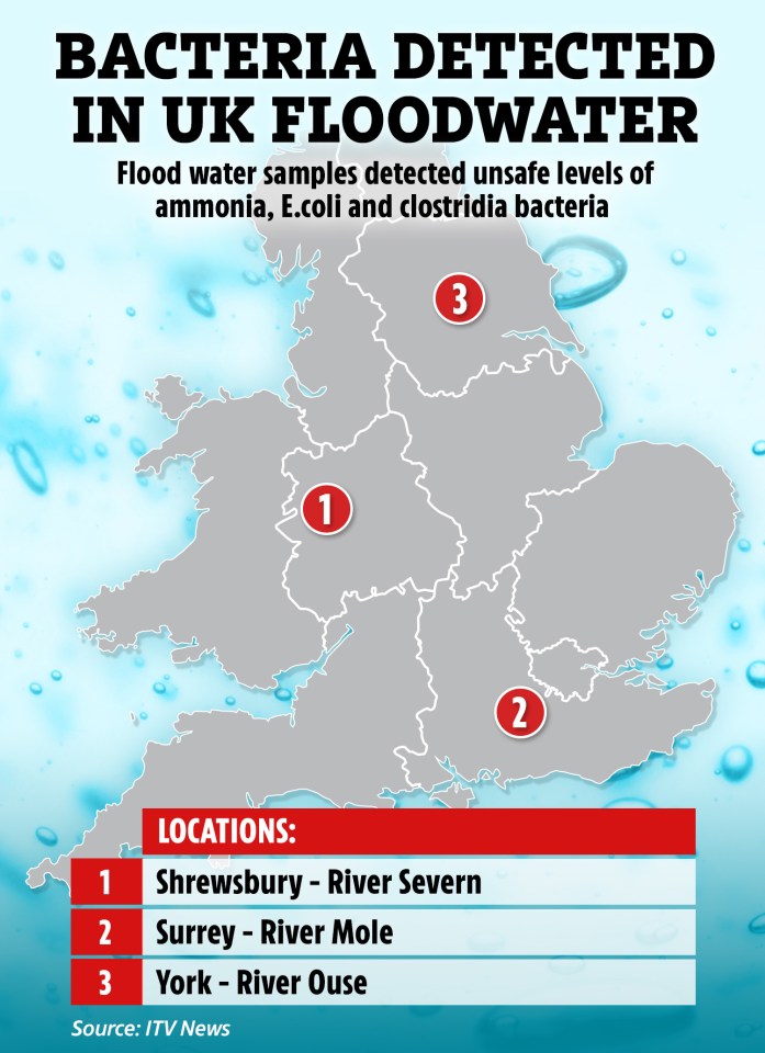 Concerning levels of bacteria and pollution were detected in Shrewsbury, Surrey and York flood waters