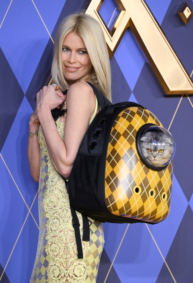 LONDON, ENGLAND - JANUARY 24: Claudia Schiffer and Chip the cat attend the World Premiere of "Argylle" at the Odeon Luxe Leicester Square on January 24, 2024 in London, England. (Photo by Karwai Tang/WireImage)