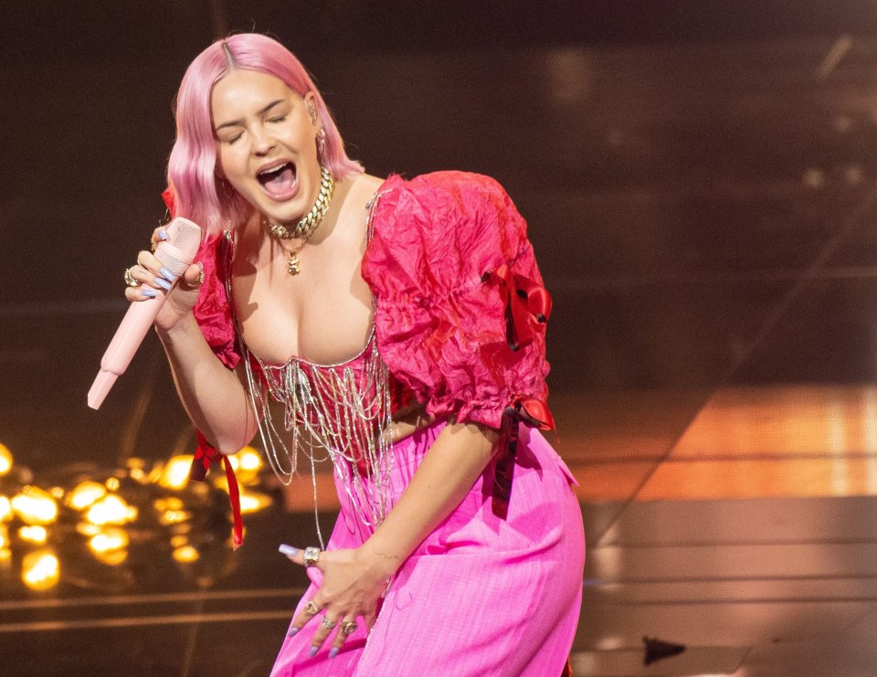 Anne-Marie is a popular singer in her own right
