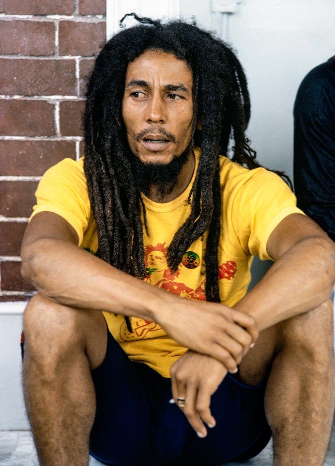 Ziggy is the singer son of reggae superstar Bob, pictured