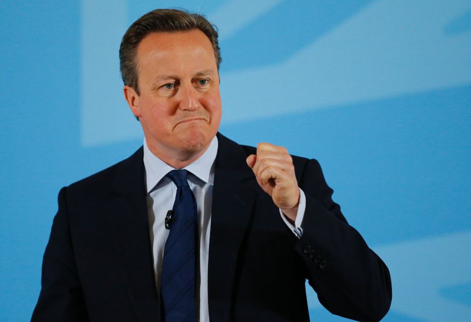 Foreign Secretary David Cameron has said a permanent ceasefire in Gaza and a two-state solution is still possible