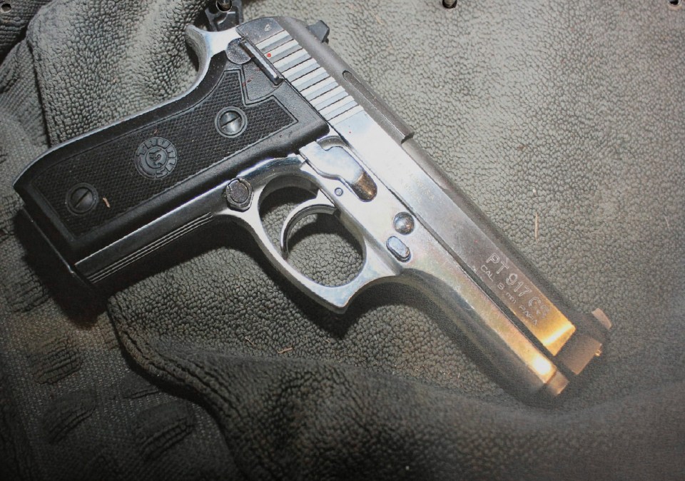The gun found at Pistorius’s home