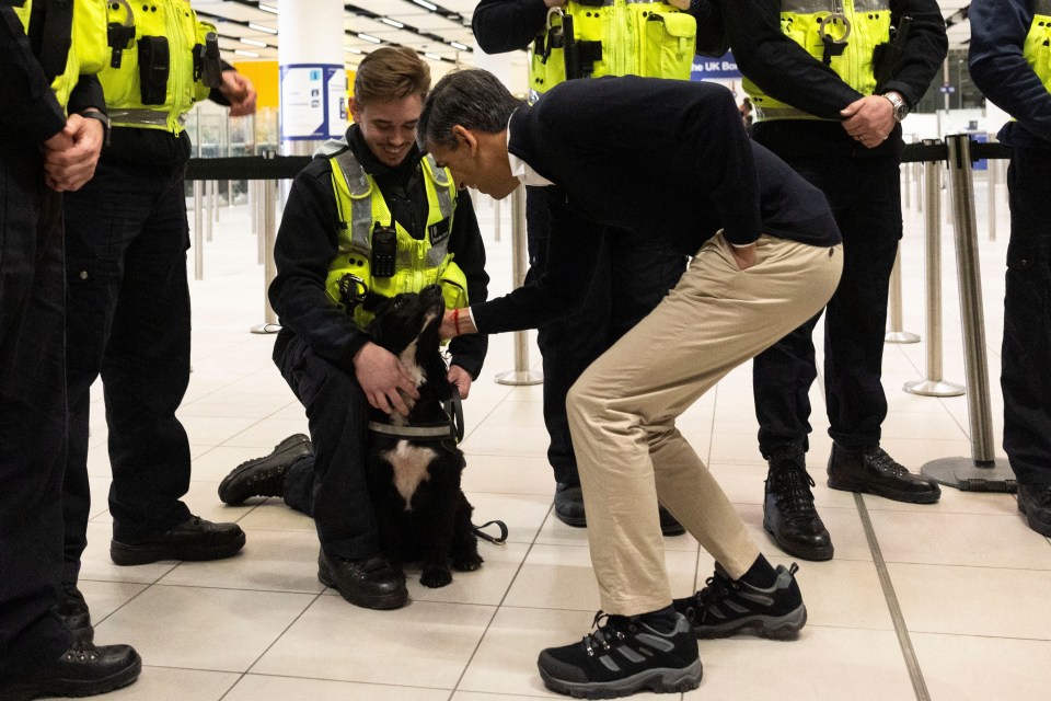 Rishi Sunak meets a team of UK Border Force officers and their sniffer dogs, including Jinx, above