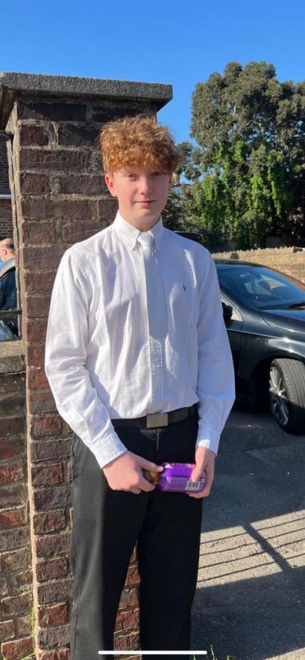 Harry Pitman, 16, was killed by Primrose Hill in Camden, London, on New Year's Eve