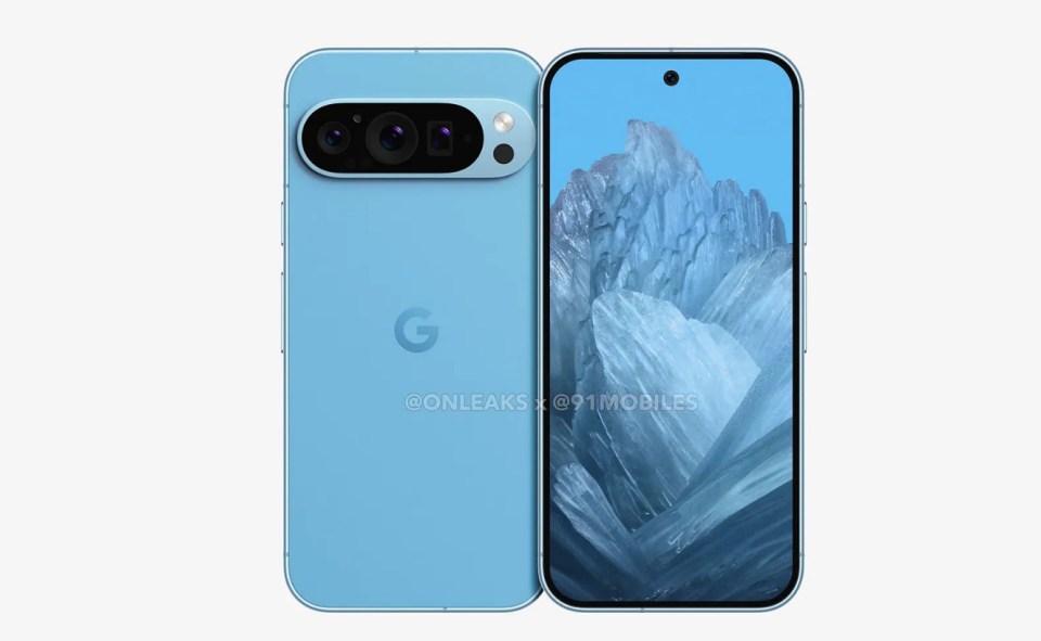 Is this what the Pixel 9 will look like?