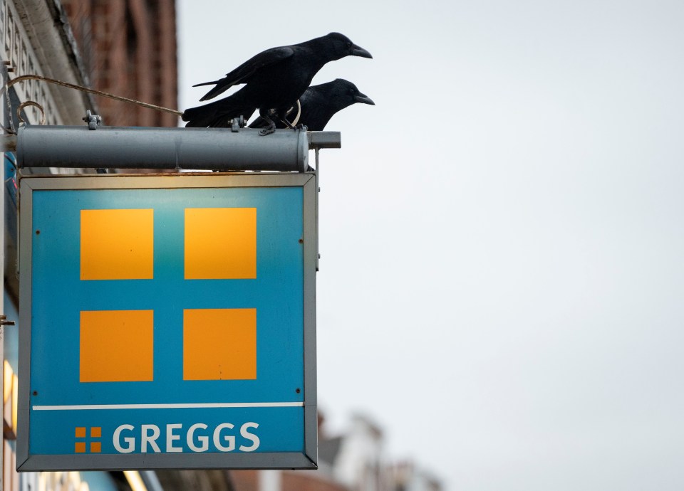 Customers are being terrorised by the crows dive-bombing them to nick their sausage rolls