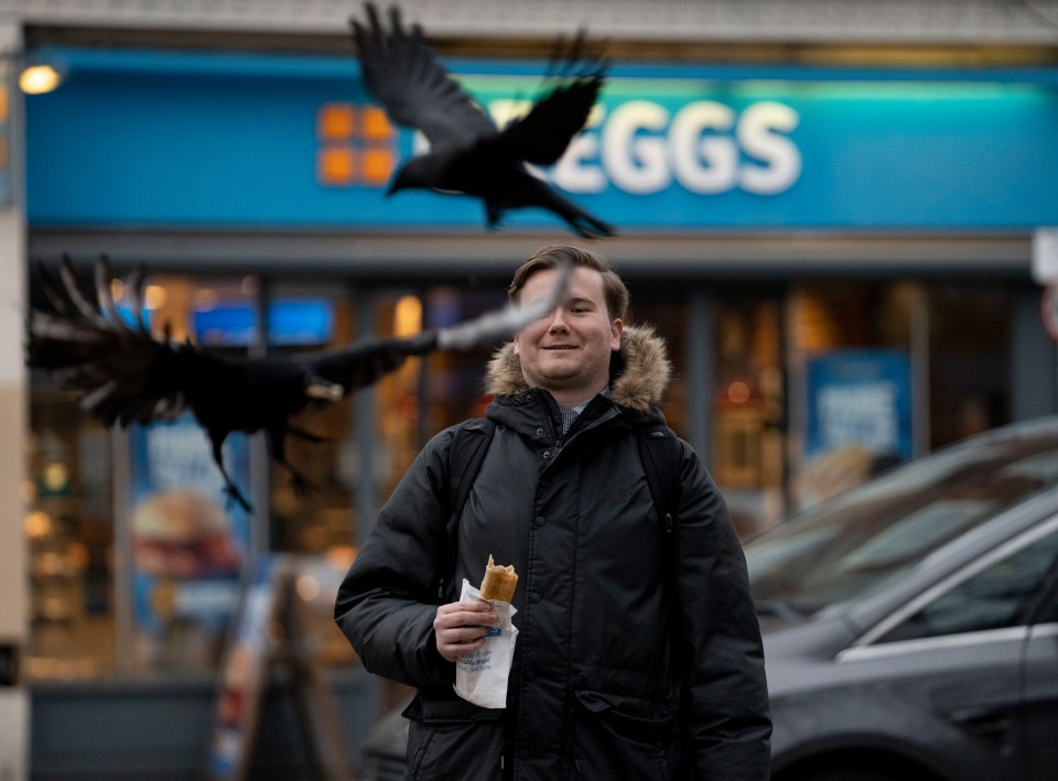 The birds are believed to have a taste for up­market patisseries too