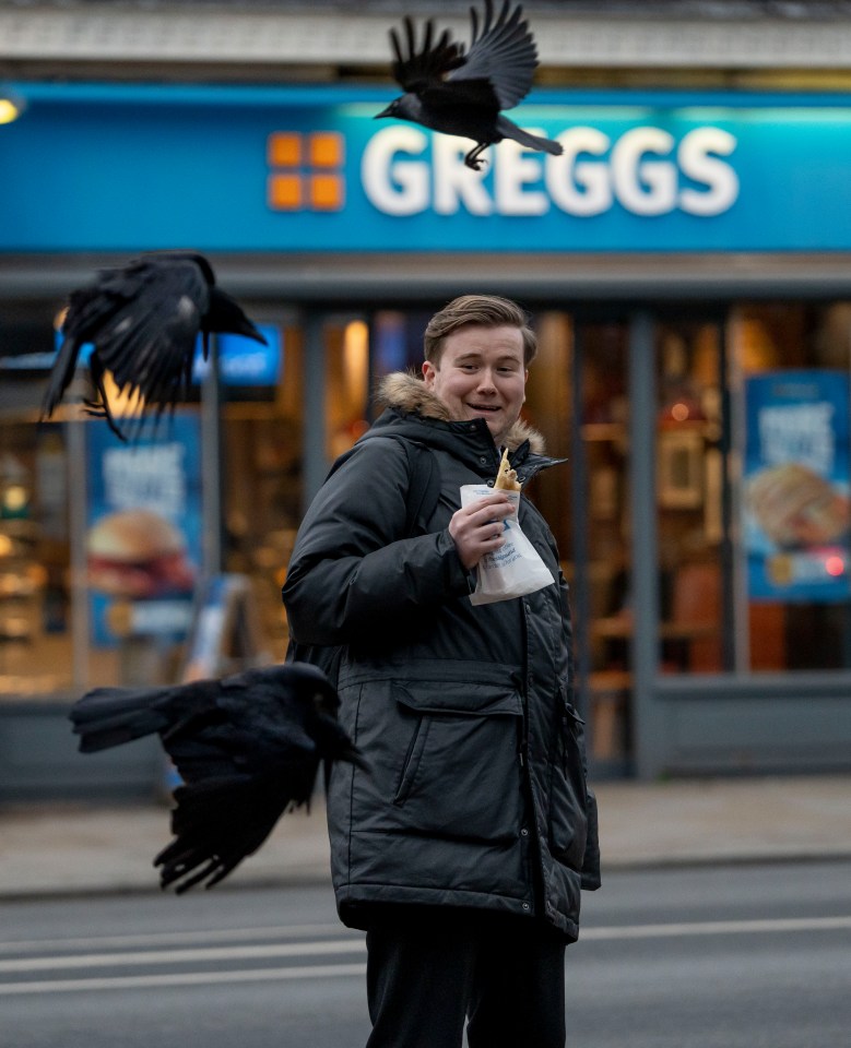 Locals are calling on Richmond Council to hire a falconer to scare the crows away