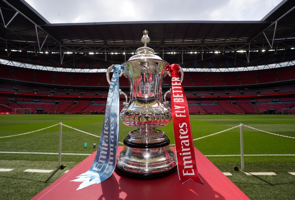 Fulham and Newcastle are facing off in the FA Cup fourth round