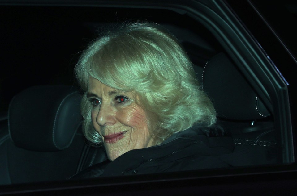 Queen Camila smiled as she left the London Clinic