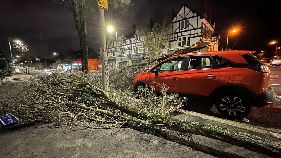only drivers who have fully comprehensive car insurance will be covered in the event of storm damage