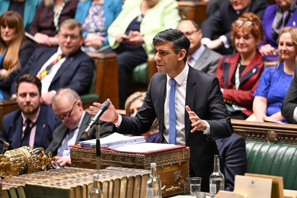 The ex-cabinet minister who demanded Rishi Sunak quit last night insisted 'there is no plot' to oust the PM