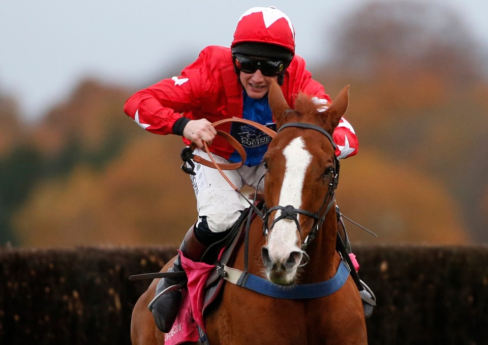 He rode 968 winners and struck up a memorable partnership with Sire De Grugy