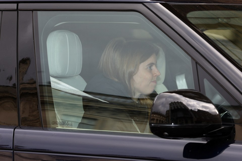 Princess Beatrice, who arrived at Clarence House to see Charles today, is a counsellor of state