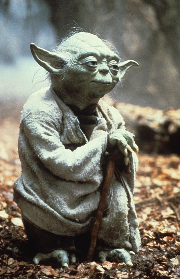 A Studio Auctions spokesman said: 'Yoda’s distinctive gimer stick was often seen in Jedi Master Yoda’s interactions with Luke Skywalker before his demise on Dagobah'