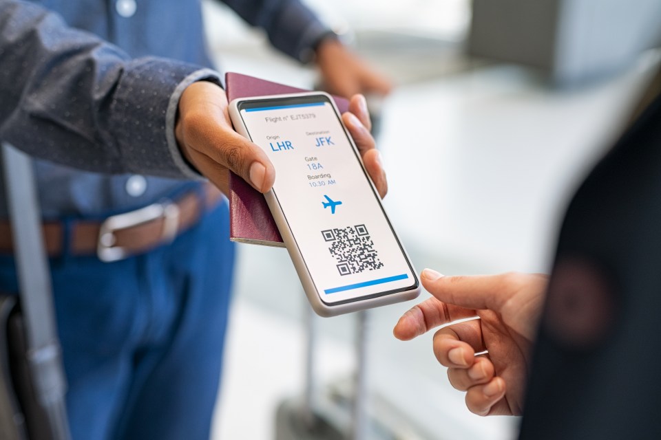 Wizz Air's automatic check-in feature costs £12