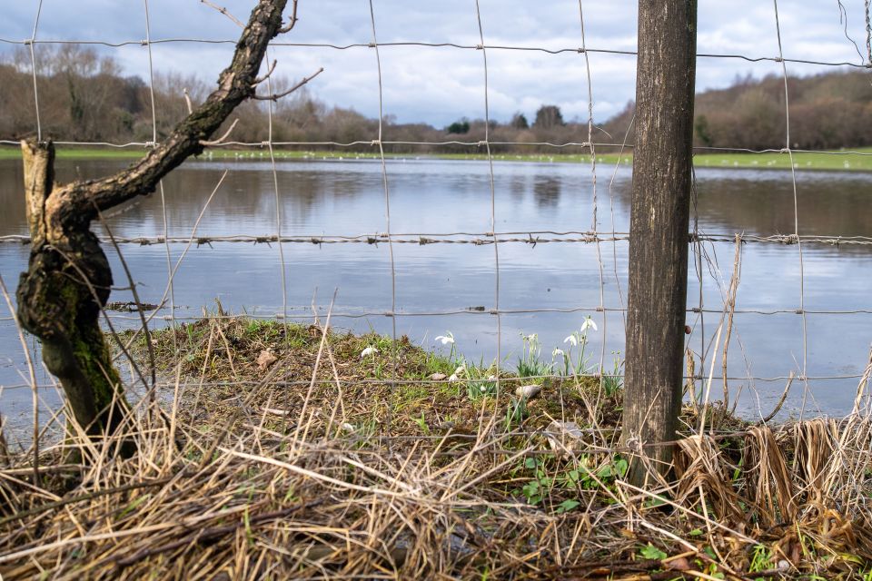Pictures show flooded fields in Chalfont St Giles, Bucks