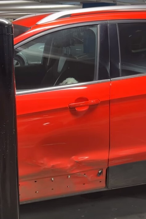 At one point one of the dogs peeked nervously out of the window