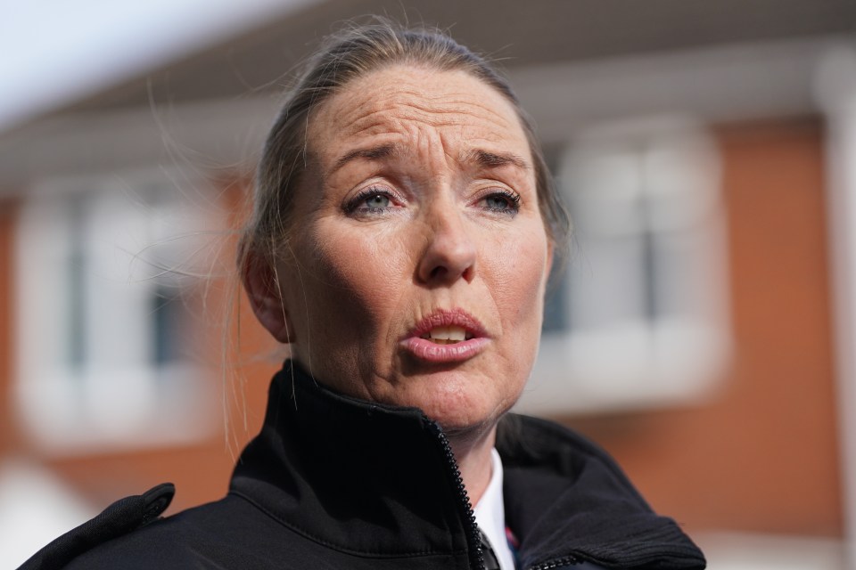 Assistant Chief Constable Michaela Kerr said police have discovered CCTV of the boy falling into the river