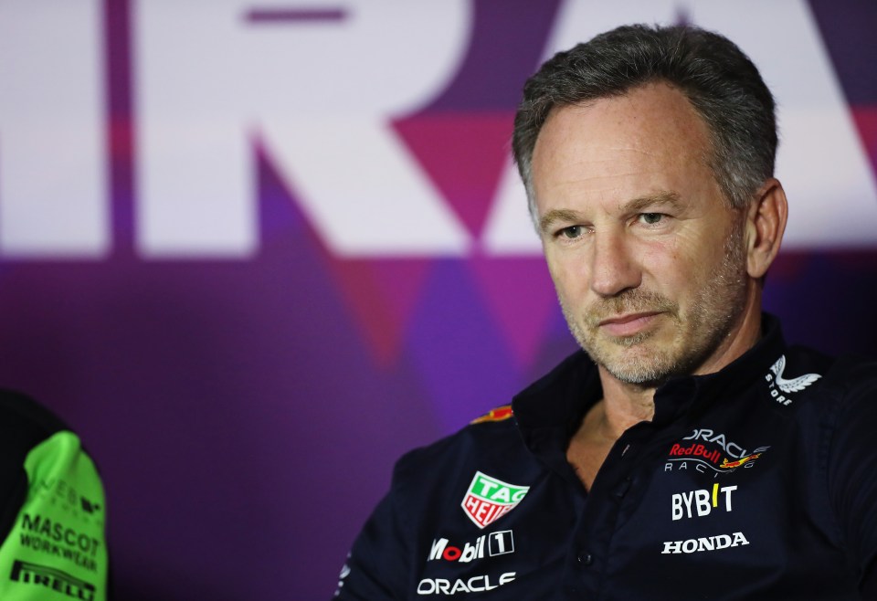Horner spoke about the probe today