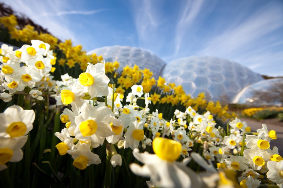 Easter at Eden is full of family fun and the scents and colours of spring