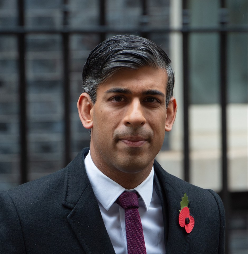 PM Rishi Sunak’s Tory party could be reduced to just 98 MPs at the general election