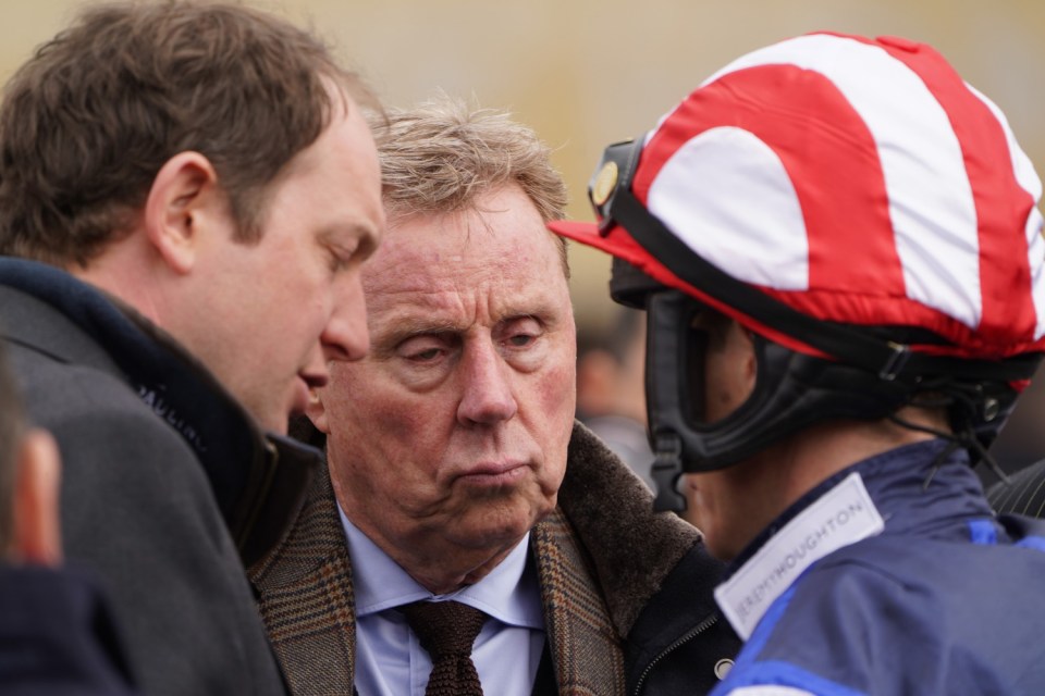 Cheltenham race festival day two Jungle King and former football manager Harry Redknapp watches his horse race in the first race of the day.