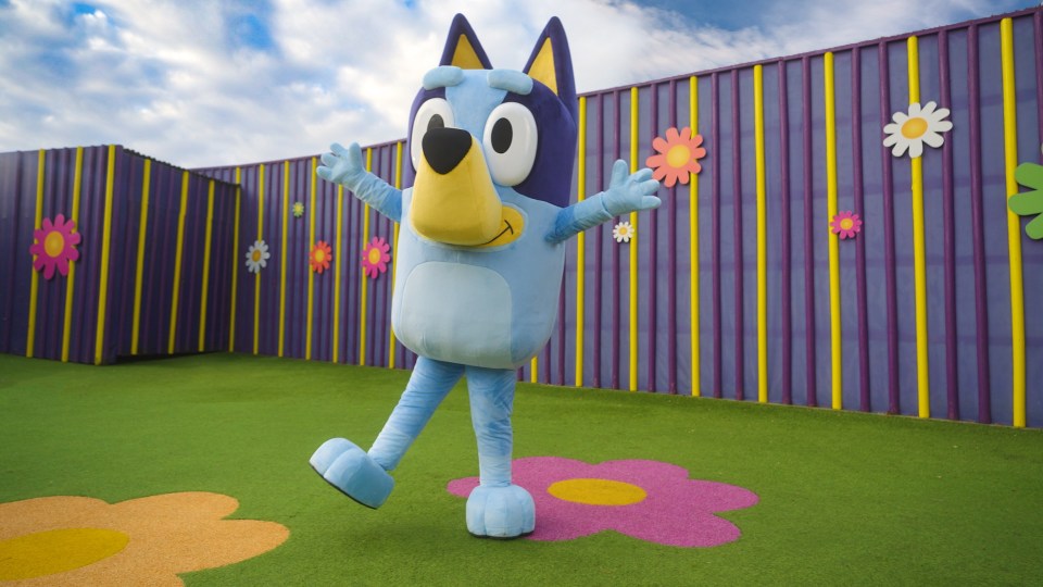 Bluey is also set to feature at CBeebies Land at Alton Towers from this month