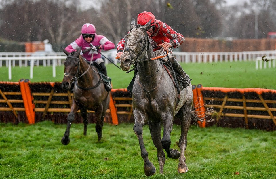 Caldwell Potter bolted up in his last race, a Grade 1 at Leapordstown.