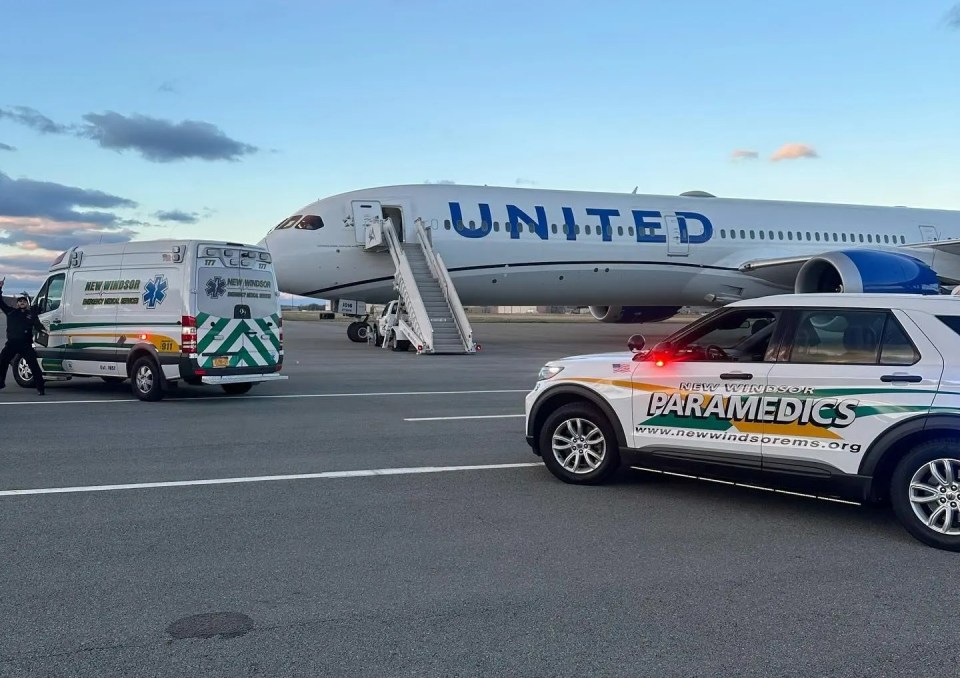 A United Airlines Boeing 787 is forced to make an emergency landing at an upstate New York airport after experiencing ‘extreme turbulence’