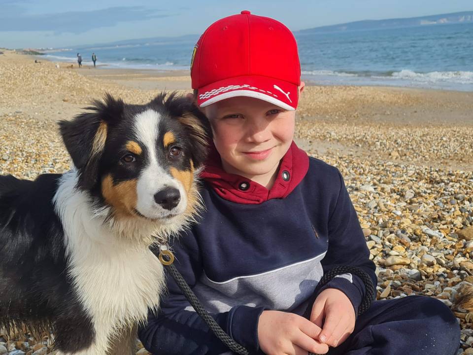 Harry Fitches, 10, is preparing to enter Crufts with sheepdog Stanley