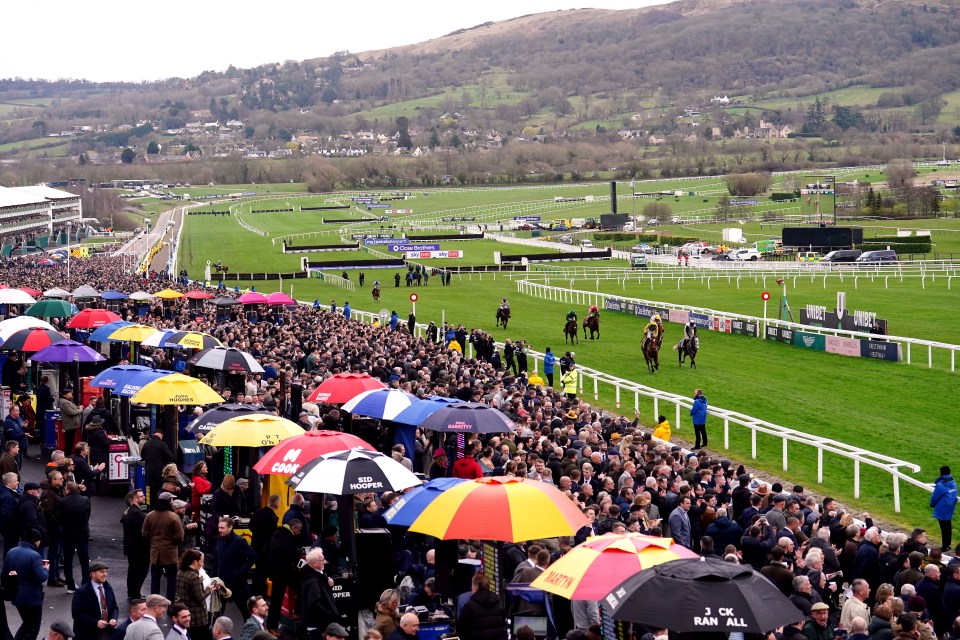 The weather at Cheltenham has been less than ideal so far