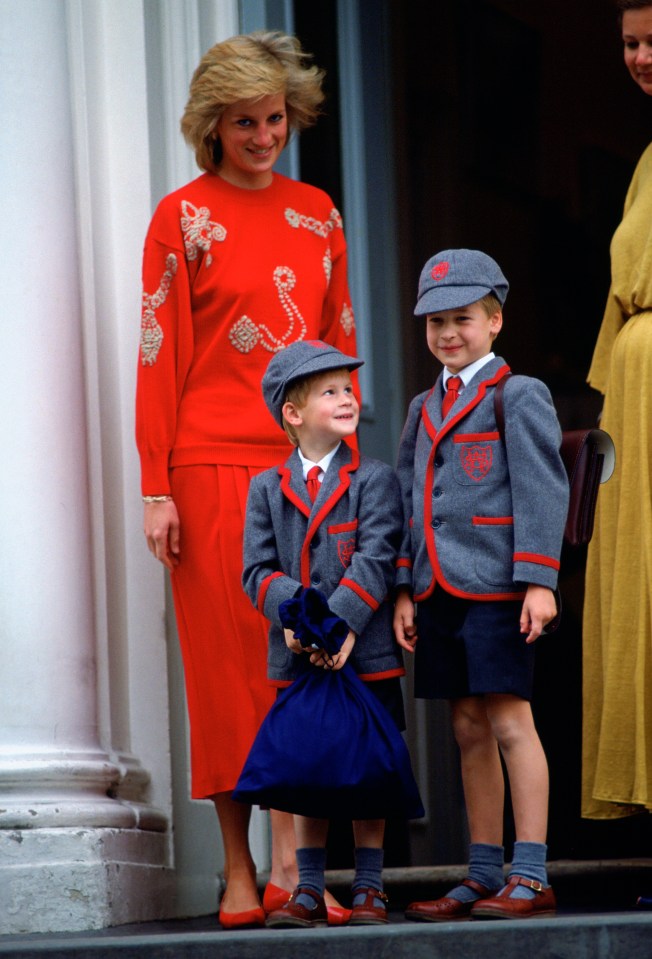 It would break Harry and William's mother Diana’s heart to see her two beloved sons so estranged