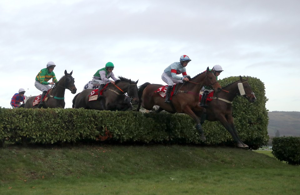 The Cross Country Chase is the most recognisable race at Cheltenham, for its unique banks and 'cheese wedge' jumps
