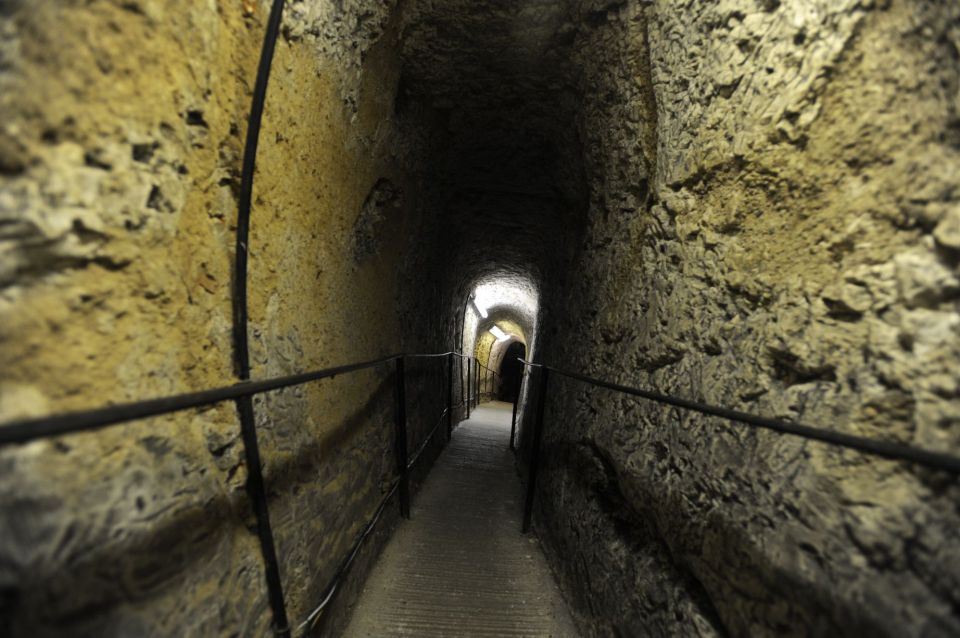 Royston Cave in Cambridgeshire was discovered by accident