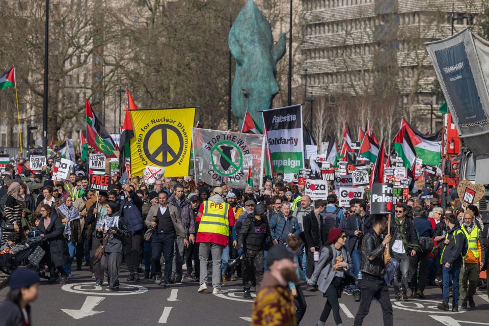 Thousands of people gather at Hyde Park Corner in London for the protest