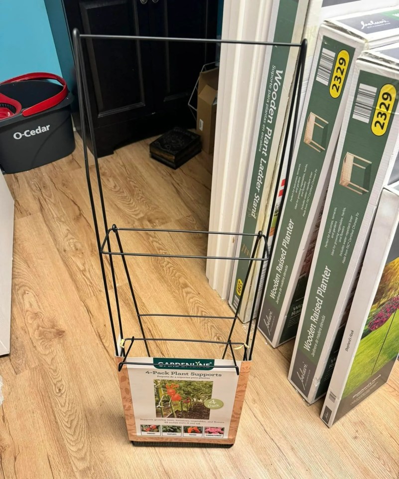 Rachele bought what she thought was a plant support