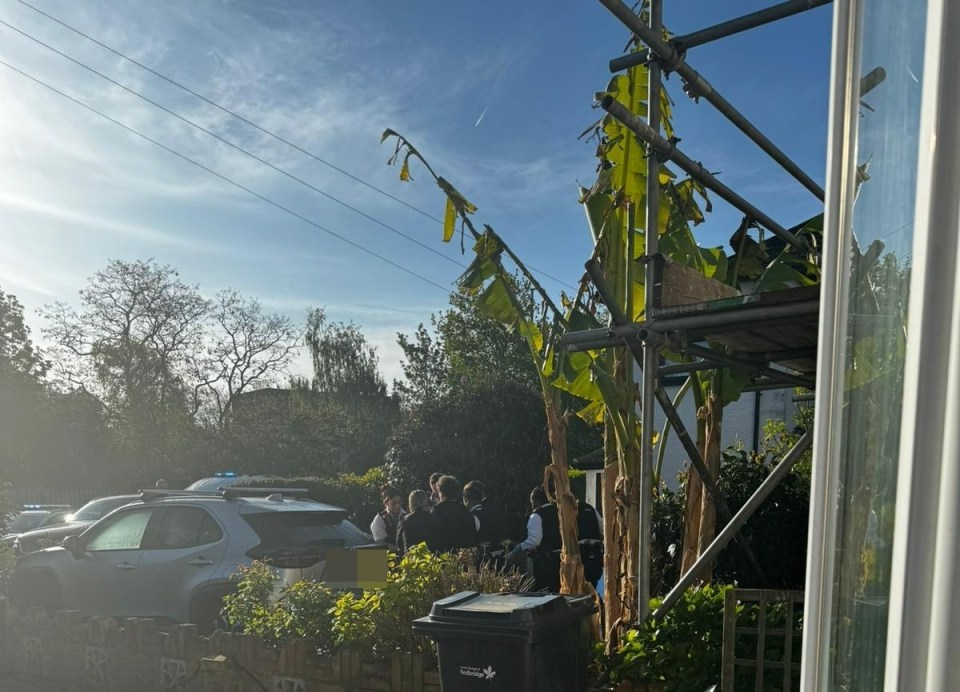 A man was cuffed and arrested this morning after allegedly stabbing five people