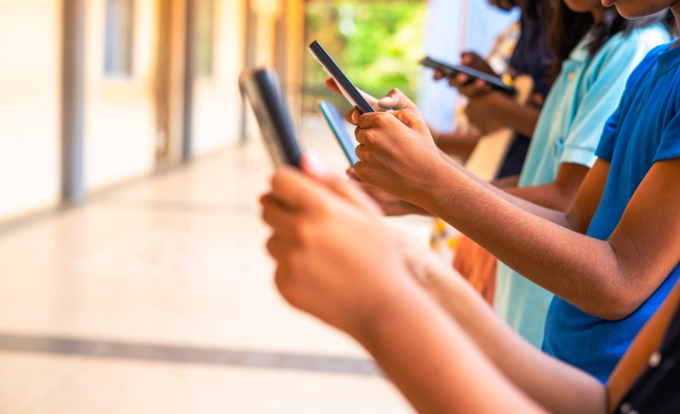 Experts explained that short attention spans can jeopardise children's academic performance