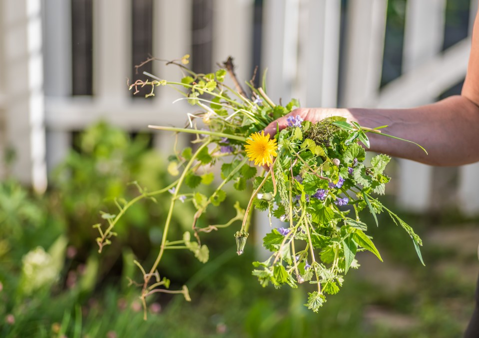 Washing powder can help clear your paths and patios of unsightly weeds