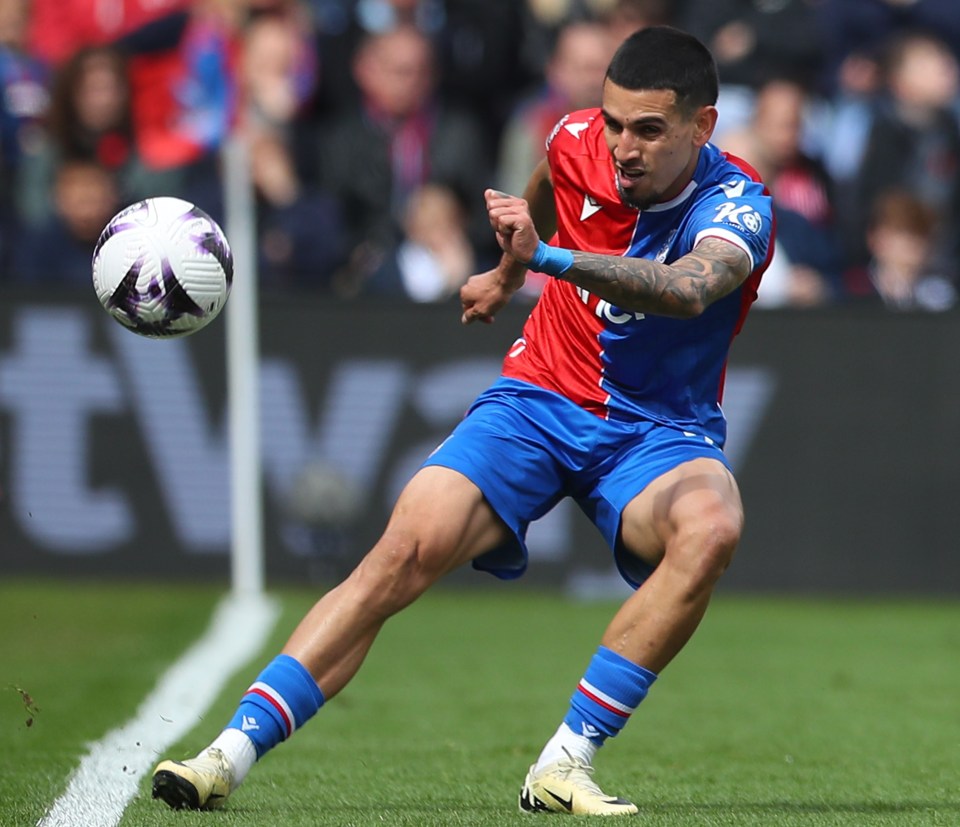 Crystal Palace fans have been left fuming at Daniel Munoz
