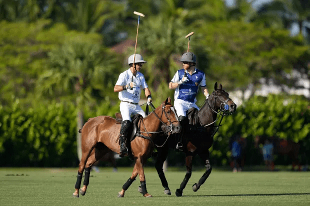 Harry had been playing a charity polo tournament
